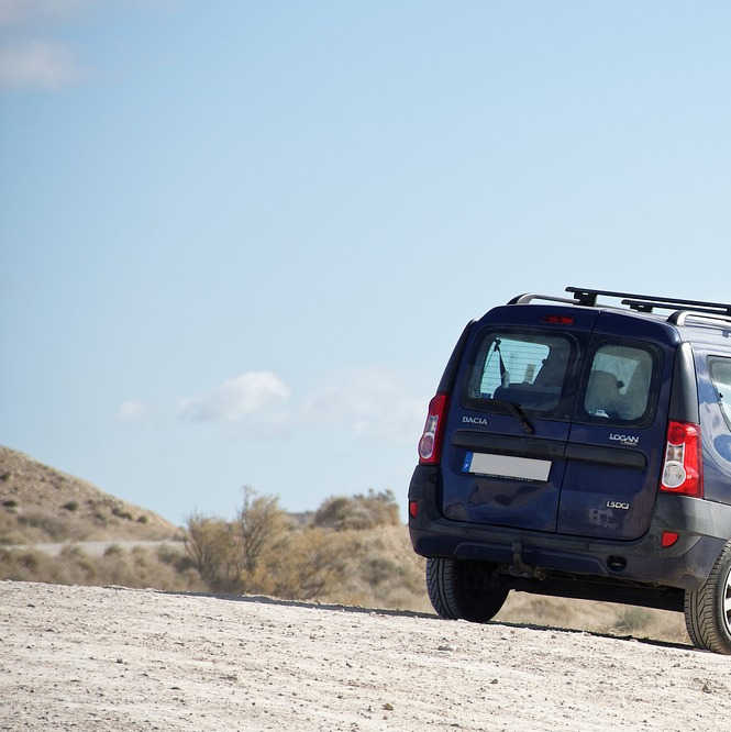 minivan group transfer desert road