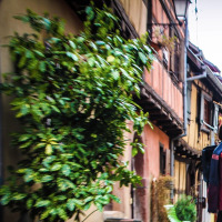 smiling traveler portrait city